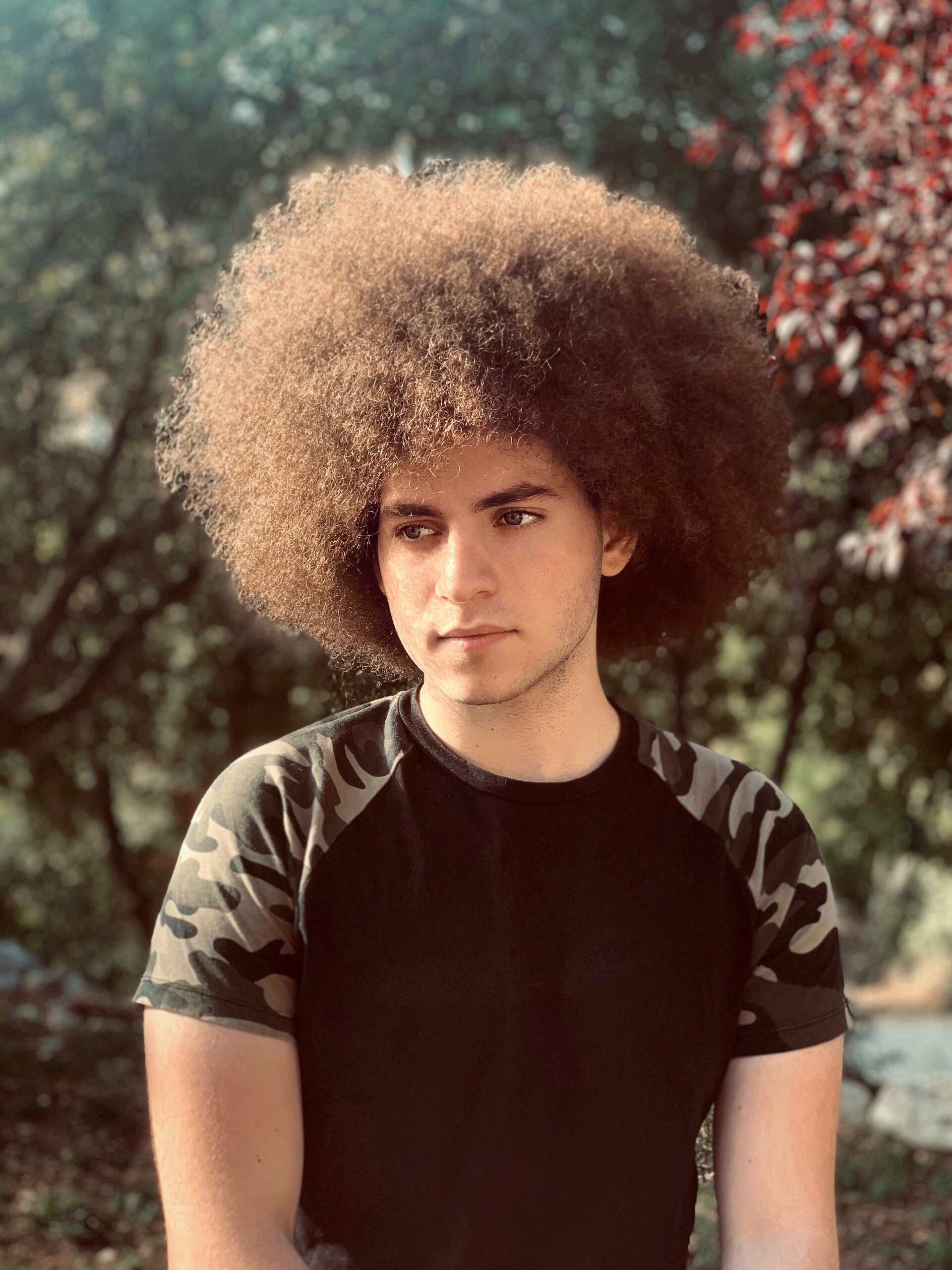 Lebanese Actor and Curly Hair Model